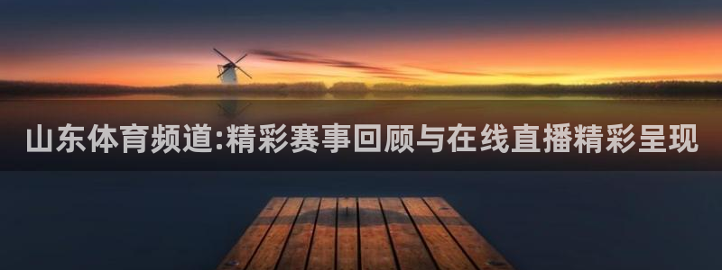9255tv直播nba在线观看：山东体育频道:精彩赛事回顾与在线直播精彩呈现