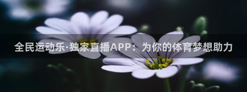 9255tv直播无插件nba：全民运动乐·独家直播APP：为你的体育梦想助力