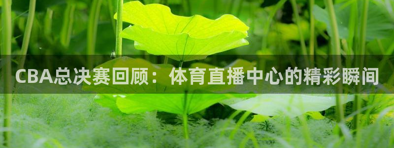 9255tv直播nba在线观看：CBA总决赛回顾：体育直播中心的精彩瞬间