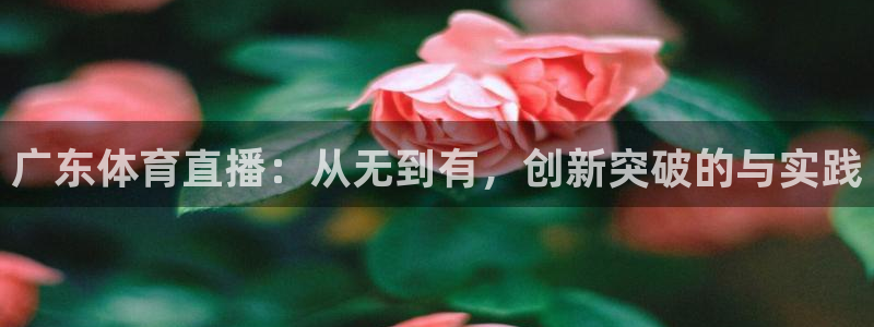 9255tv直播nba在线观看：广东体育直播：从无到有，创新突破的与实践