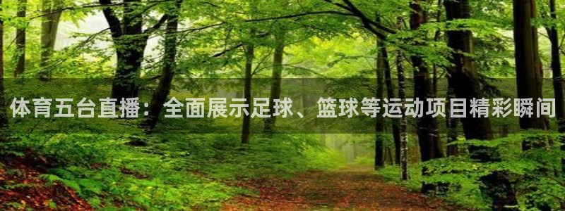 9255tv直播nba在线直播：体育五台直播：全面展示足球、篮球等运动项目精彩瞬间
