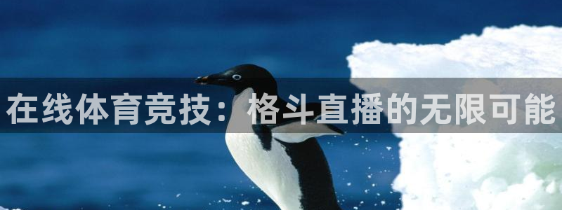9255tv直播nba在线直播：在线体育竞技：格斗直播的无限可能