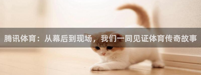 9255tv直播nba在线观看：腾讯体育：从幕后到现场，我们一同见证体育传奇故事