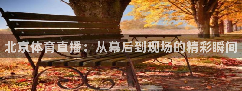 9255tv直播无插件nba：北京体育直播：从幕后到现场的精彩瞬间