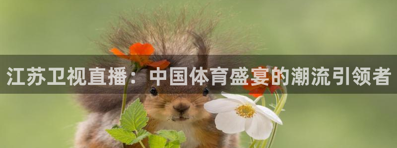 9255tv直播无插件nba：江苏卫视直播：中国体育盛宴的潮流引领者