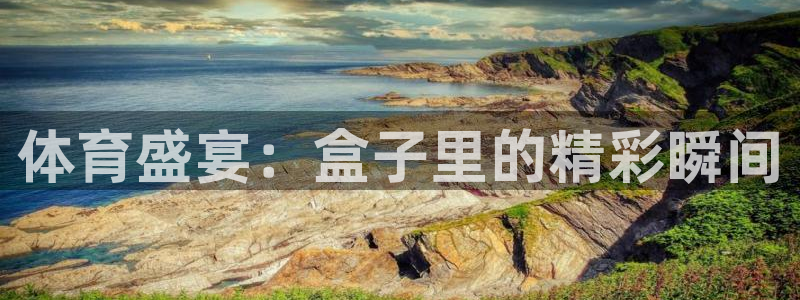9255tv直播无插件nba：体育盛宴：盒子里的精彩瞬间